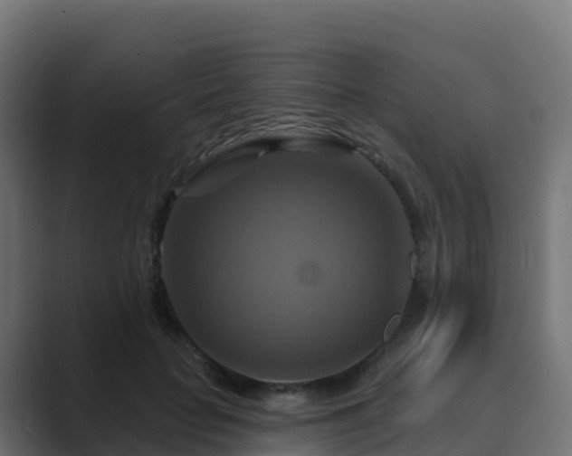 X0000089720653200706281531