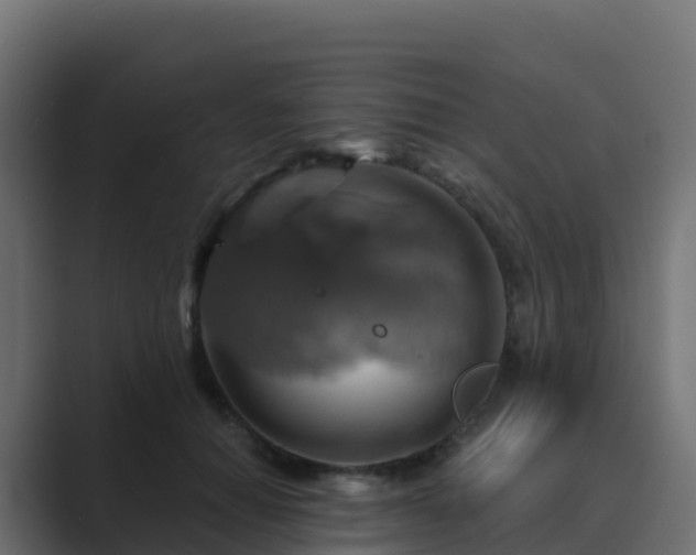 X0000089720654200706281531