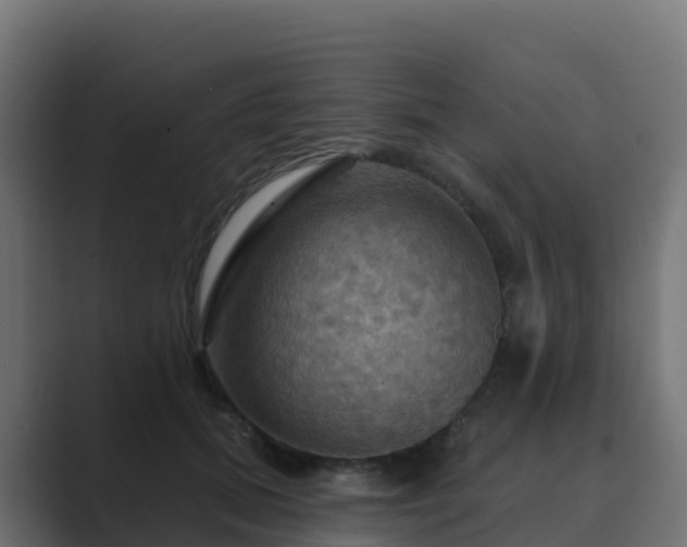 X0000089720655200706281531