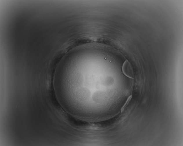 X0000089720656200706281531