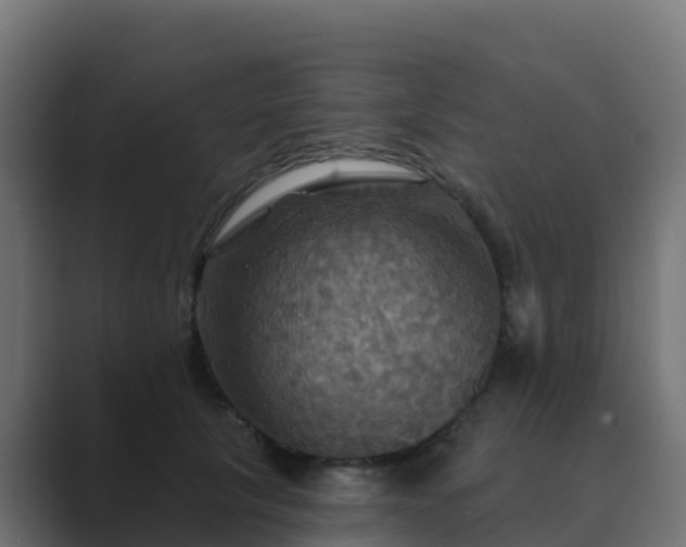 X0000089720657200706281531