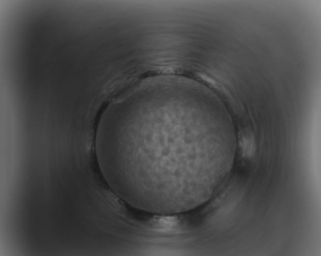 X0000089720665200706281532
