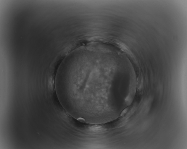 X0000089720669200706281532