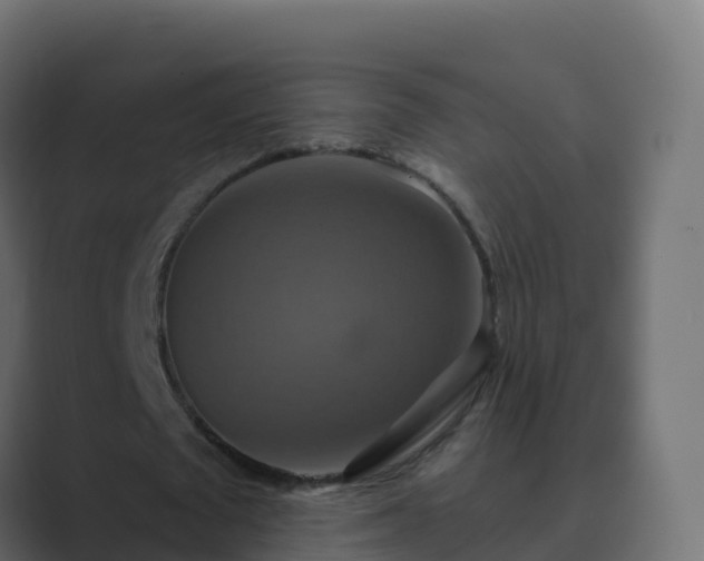 X0000089720673200706281531