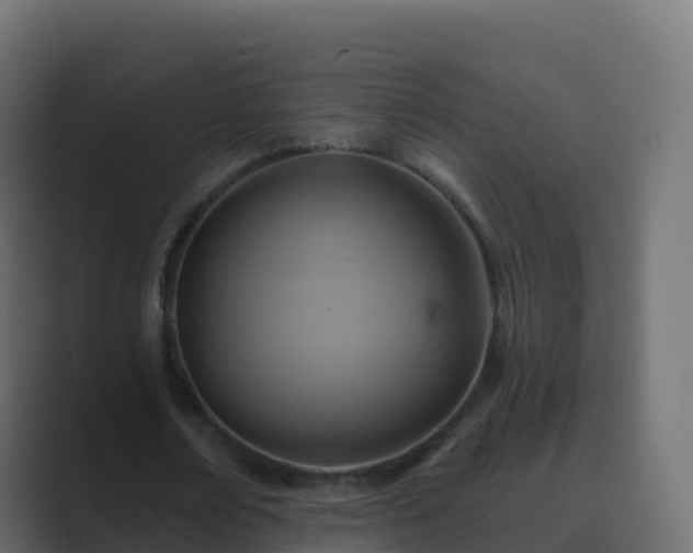 X0000089720674200706281531