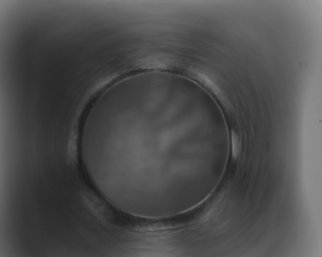 X0000089720675200706281531