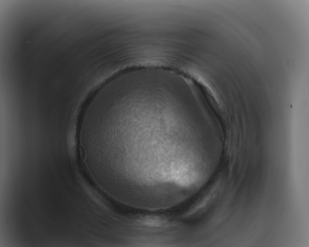 X0000089720677200706281531