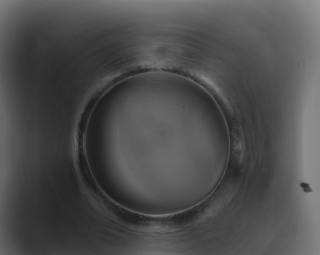 X0000089720678200706281531