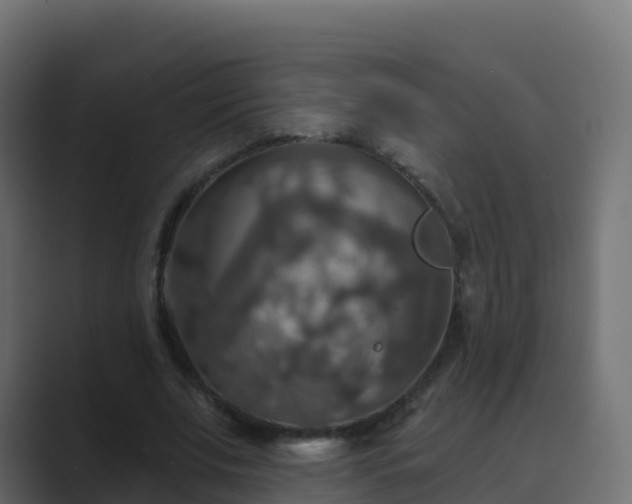 X0000089720679200706281531