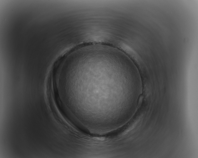 X0000089720680200706281531