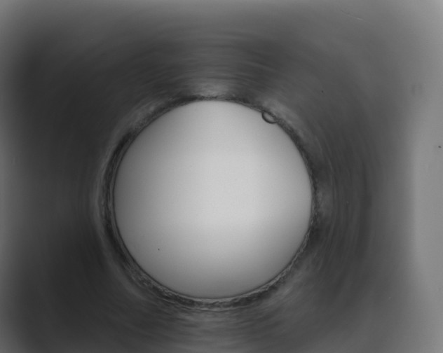 X0000089720682200706281531