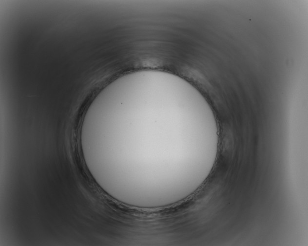 X0000089720683200706281531