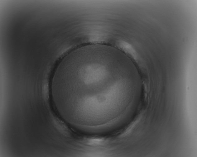 X0000089720684200706281531