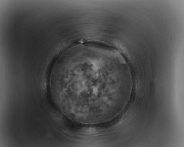 X0000089720687200706281531