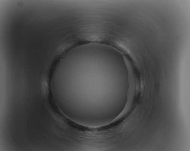X0000089720688200706281531