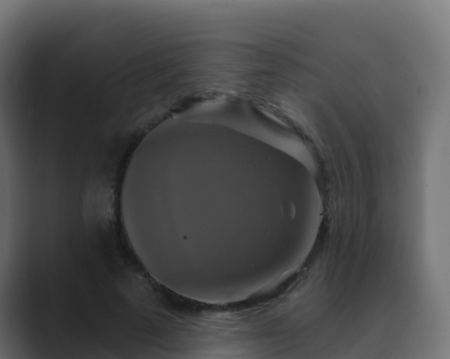 X0000089720689200706281531