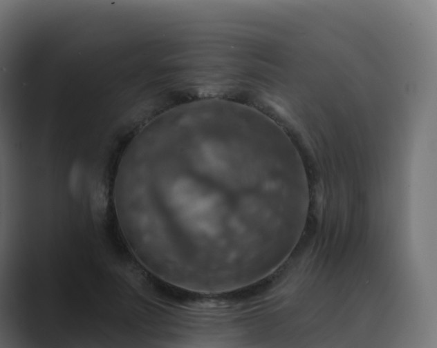 X0000089720691200706281531