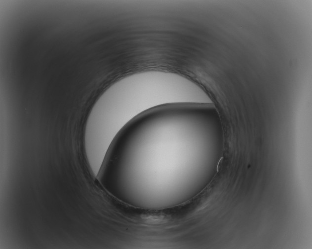 X0000089720693200706281531