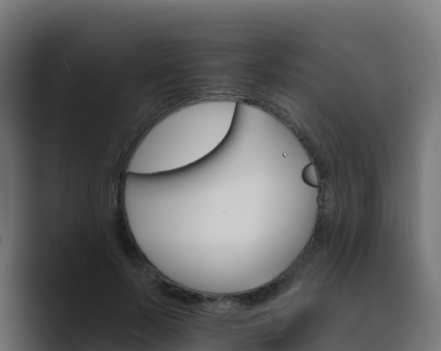 X0000089720695200706281531