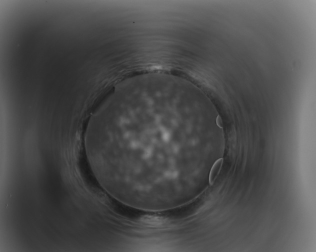 X0000089720699200706281531