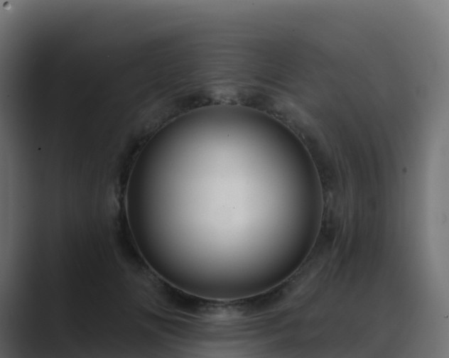 X0000089720702200706281531