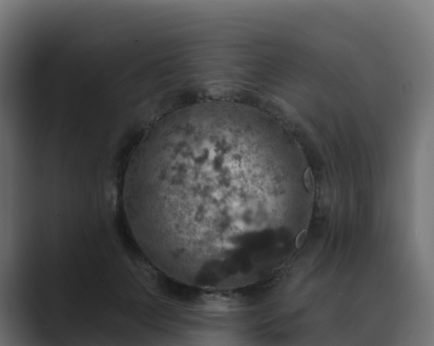 X0000089720703200706281531