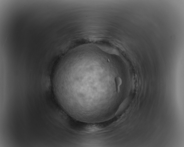 X0000089720704200706281531