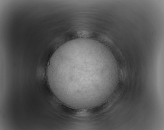 X0000089720705200706281531