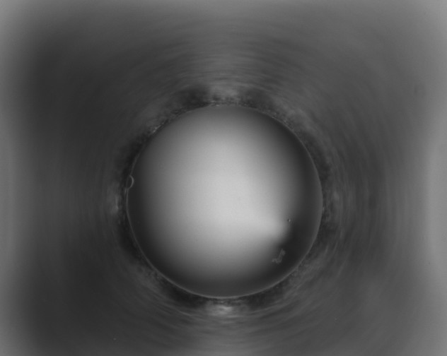 X0000089720706200706281531
