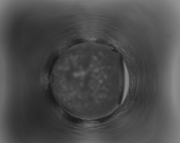 X0000089720707200706281531