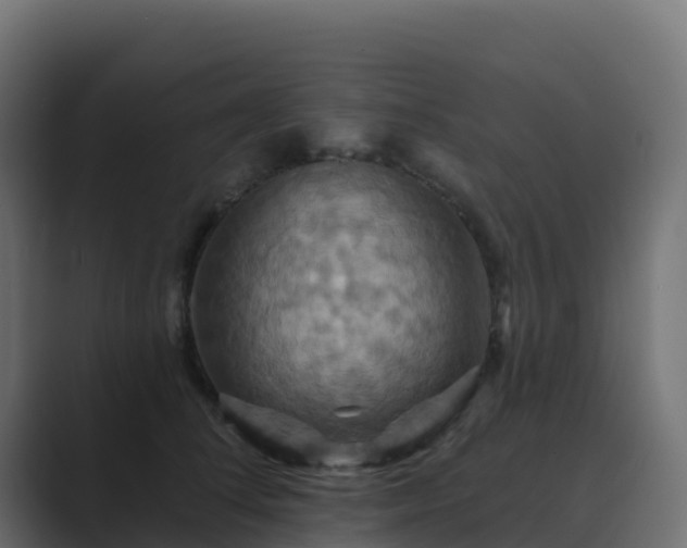 X0000089720708200706281531