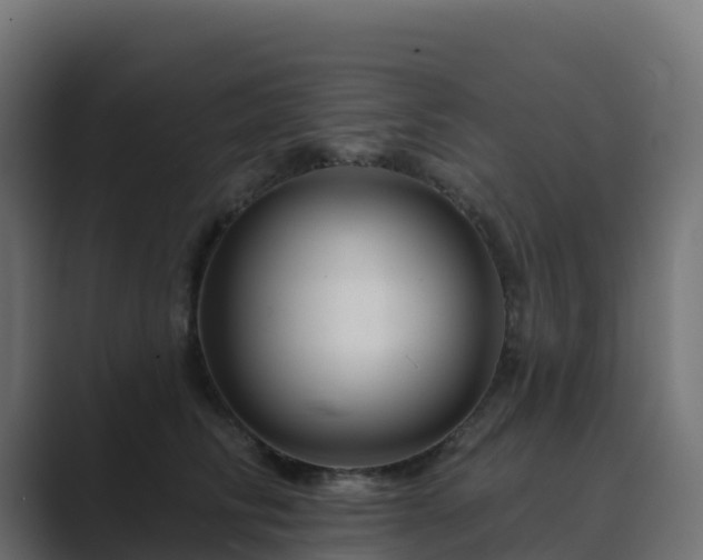 X0000089720710200706281531