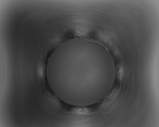 X0000089720712200706281531