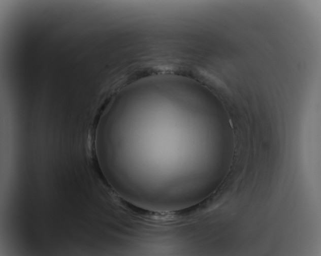 X0000089720720200706281531