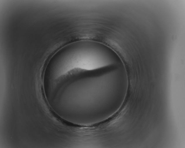 X0000089720721200706281530