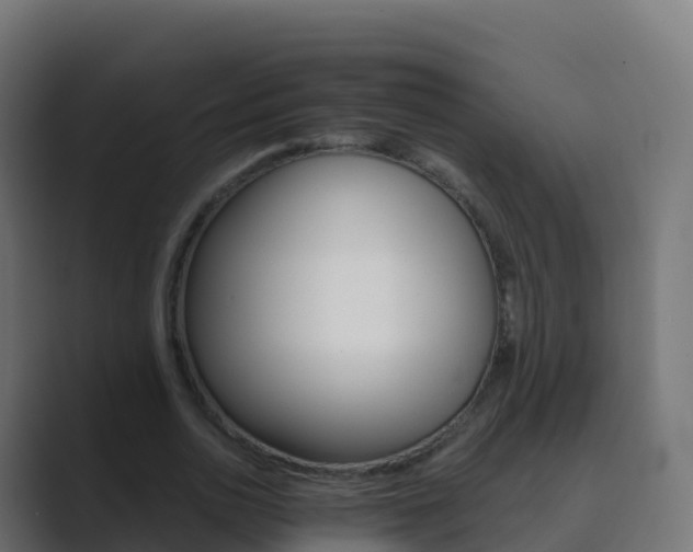 X0000089720726200706281530