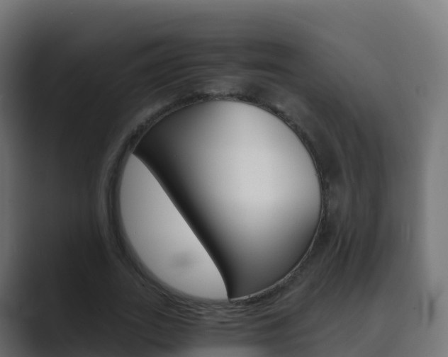 X0000089720727200706281530