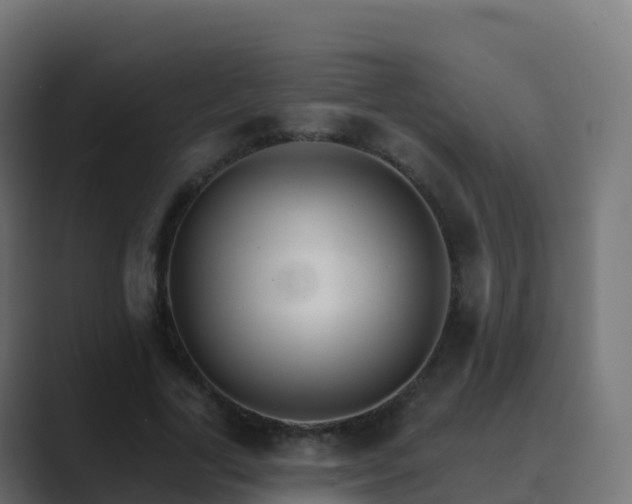 X0000089720731200706281530
