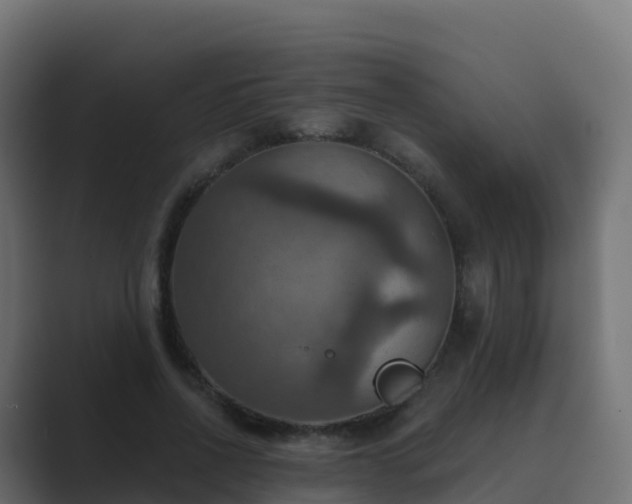 X0000089720734200706281530