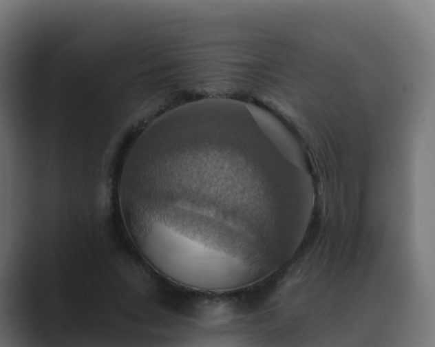 X0000089720735200706281530
