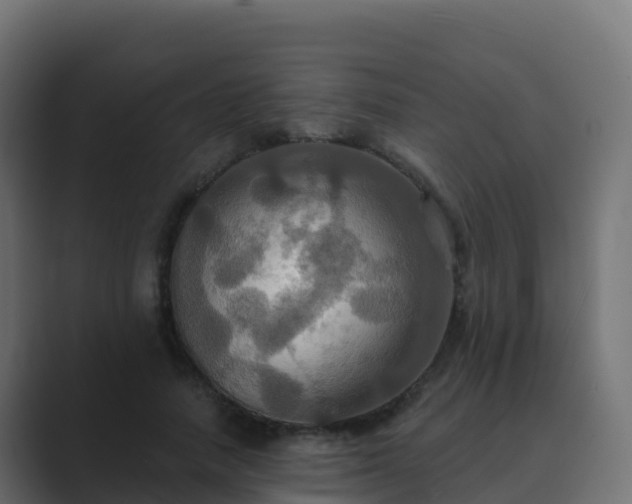X0000089720738200706281530
