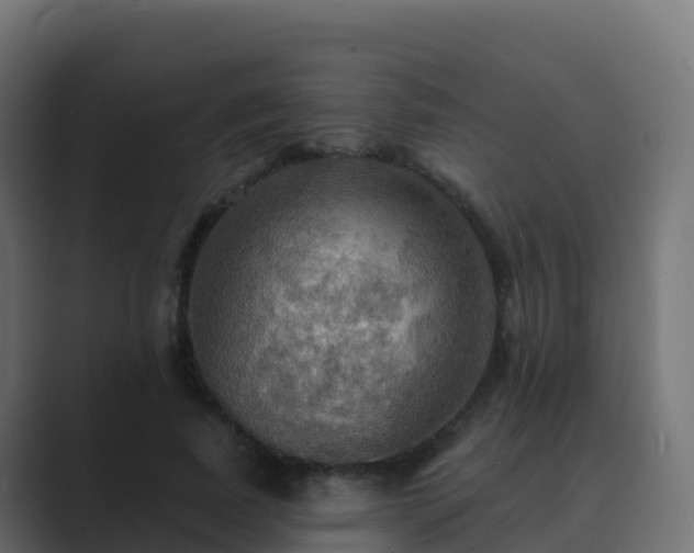 X0000089720739200706281530