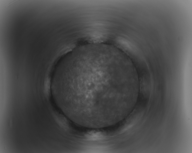 X0000089720742200706281530