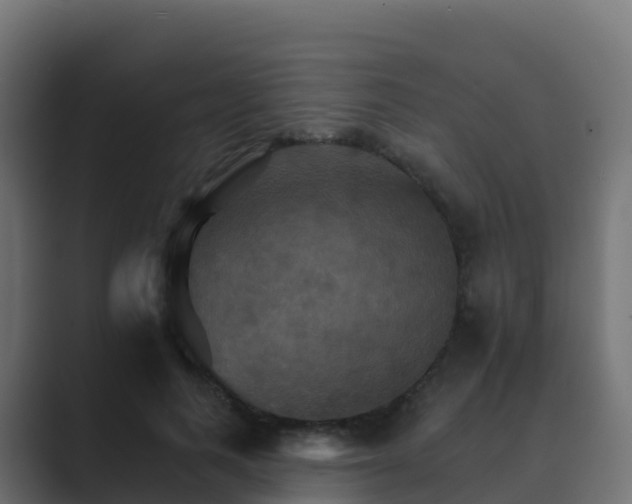X0000089720743200706281530