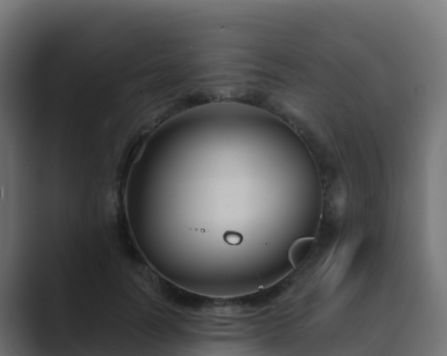 X0000089720746200706281530