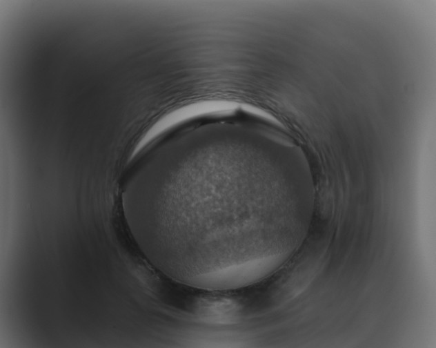 X0000089720747200706281530