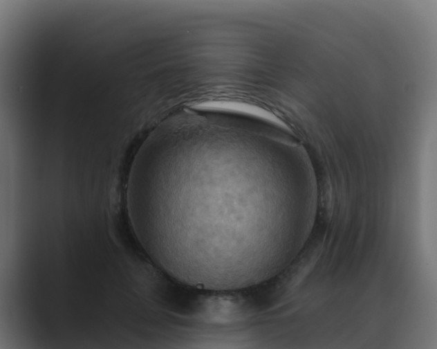 X0000089720751200706281530