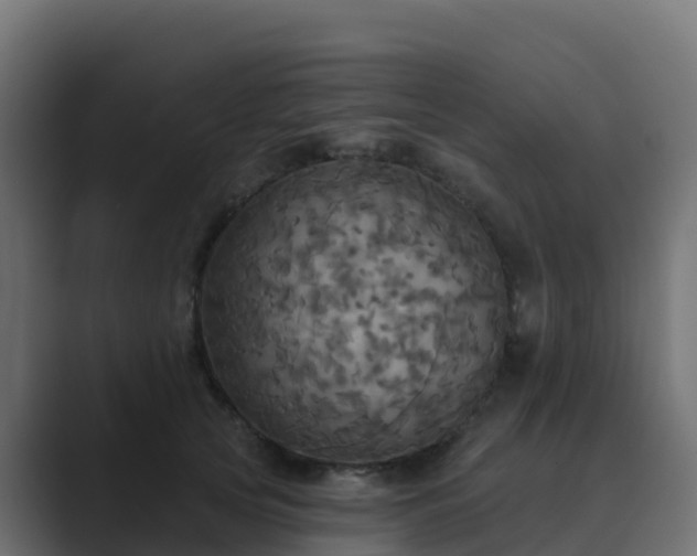 X0000089720753200706281530