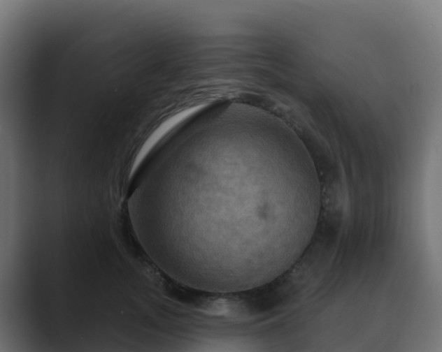 X0000089720755200706281530