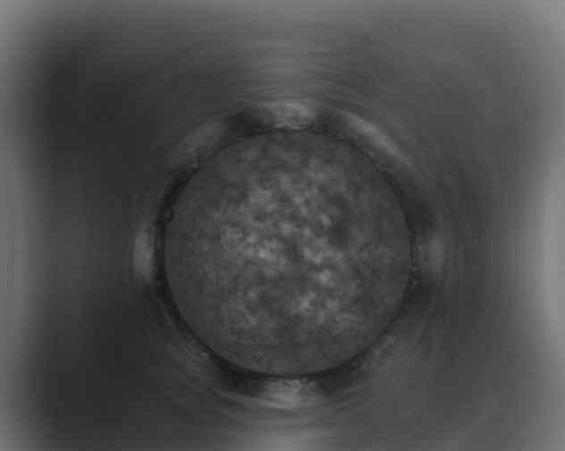 X0000089720757200706281530